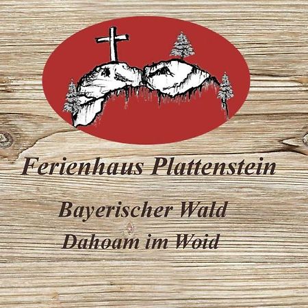 Ferienhaus Plattenstein Kirchberg  Dış mekan fotoğraf