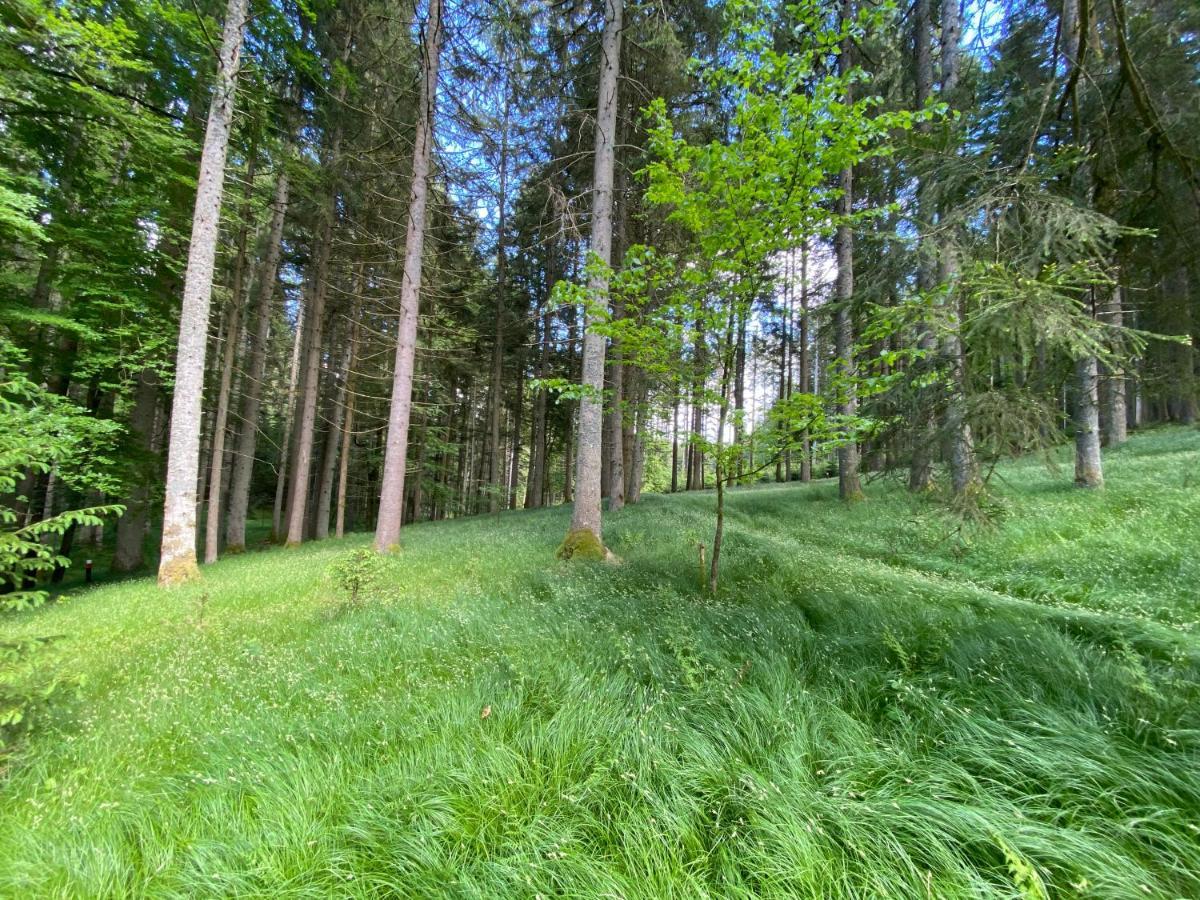 Ferienhaus Plattenstein Kirchberg  Dış mekan fotoğraf