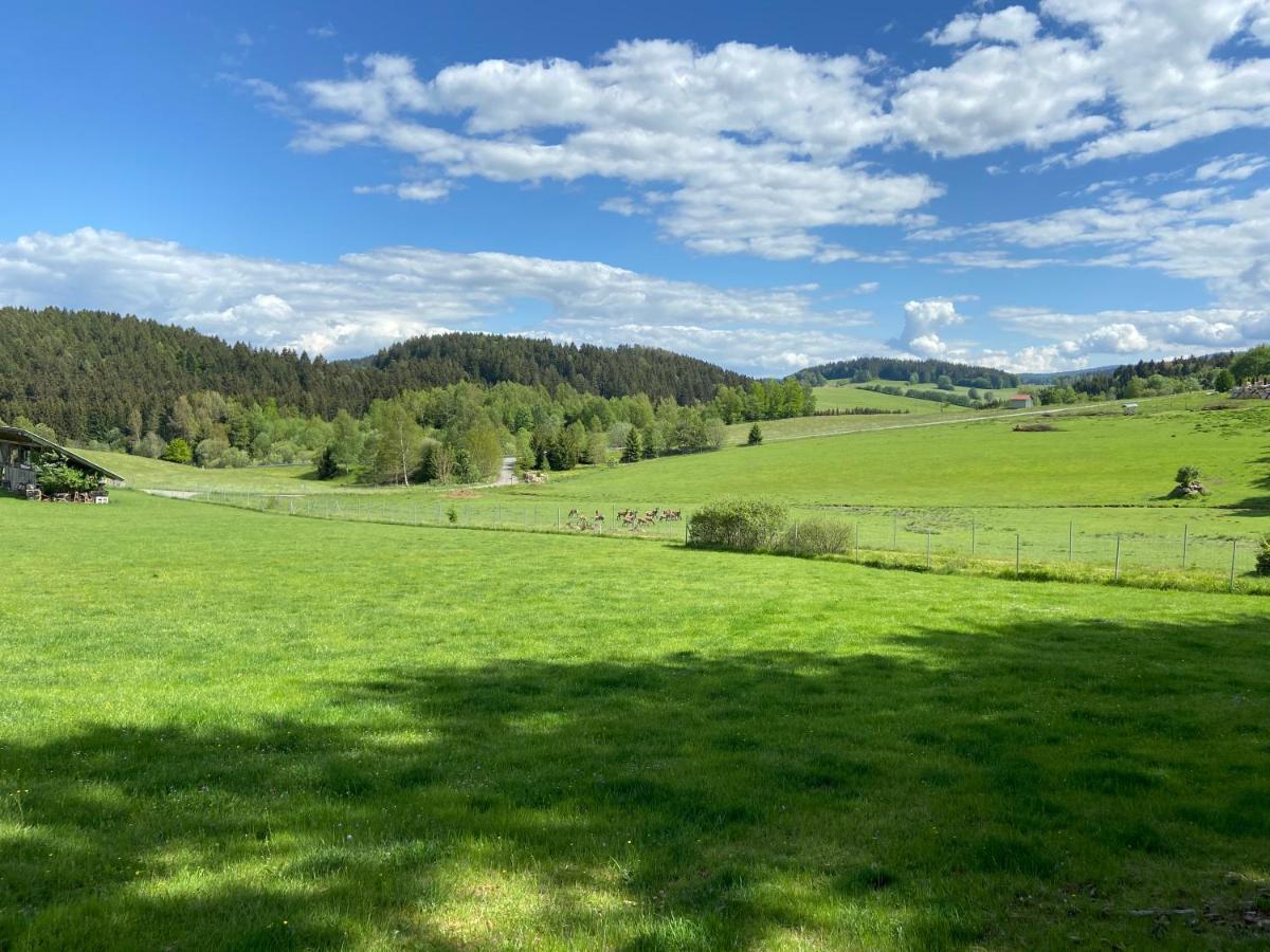 Ferienhaus Plattenstein Kirchberg  Dış mekan fotoğraf