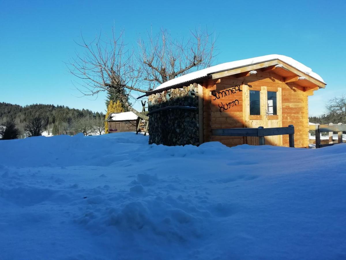 Ferienhaus Plattenstein Kirchberg  Dış mekan fotoğraf